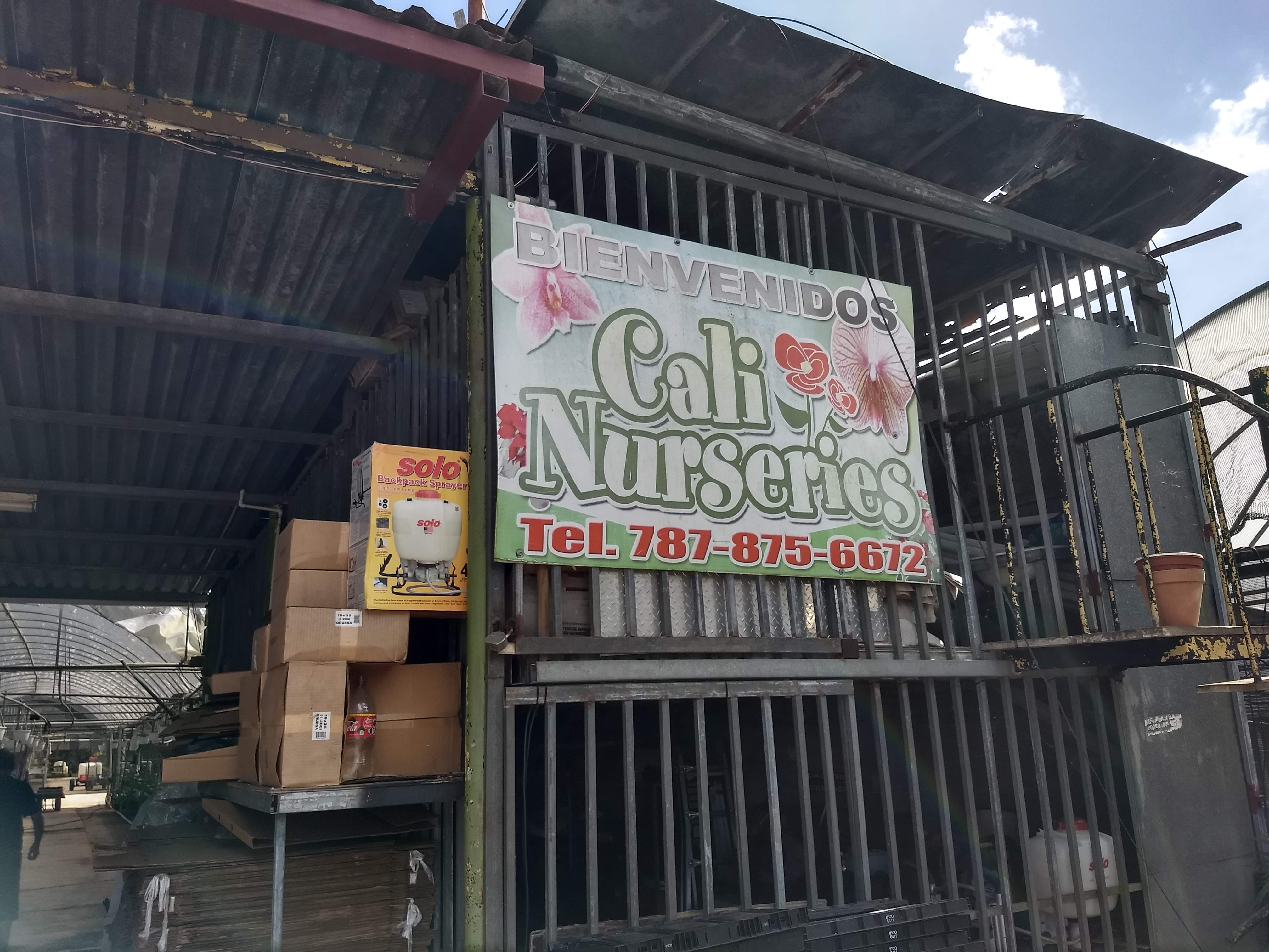 Cali Nurseries