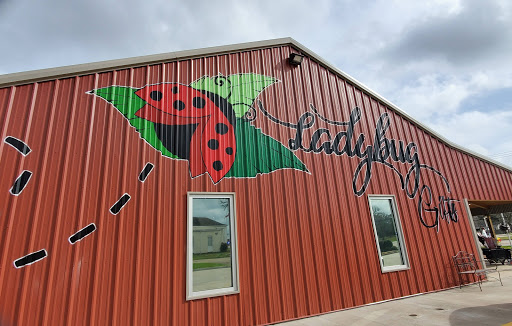 Lady Bug Gifts & Embroidery