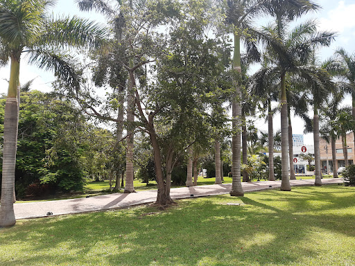 Fonatur Park - Thumbnail