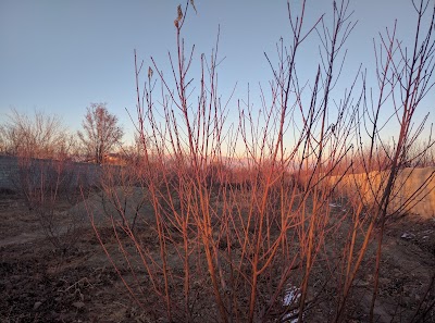 Photos of Talkhestan Garden