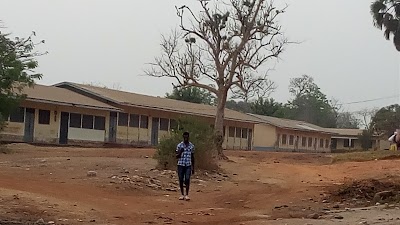 school