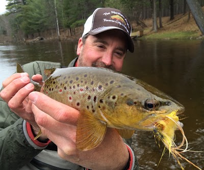 Photos of Northern Angler
