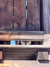 Photo n°13 de Volpé à Megève (Chalet)