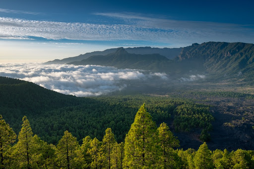 Telyco La Palma Pymes - Telefónica Empresas