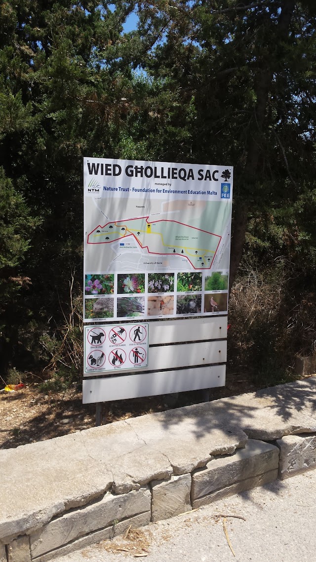 Wied Għollieqa Nature Reserve