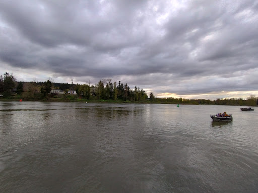 Jon Storm Park - Visual