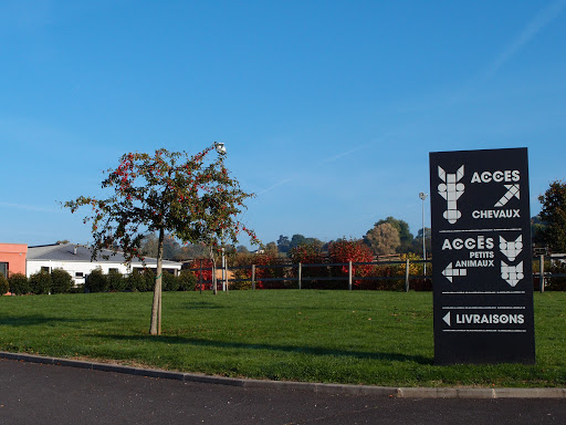 Veterinary Clinic of the Côte Fleurie Gallery - France