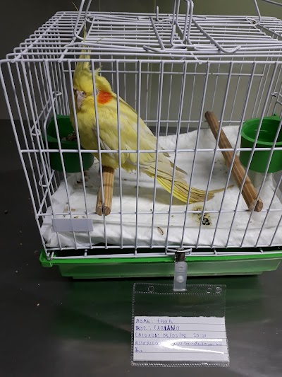 Photos of Veterinary Office Birds & Cia / NIAAS