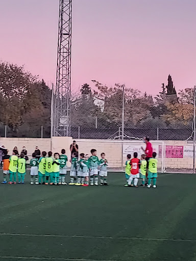 Campo del Palomares Club de Fútbol