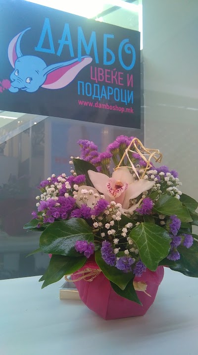 Photos of Dambo Flower & Gifts