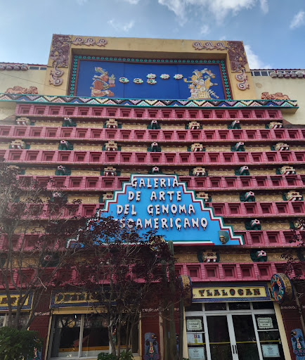 Galeria De Arte Del Genoma Mesoamericano