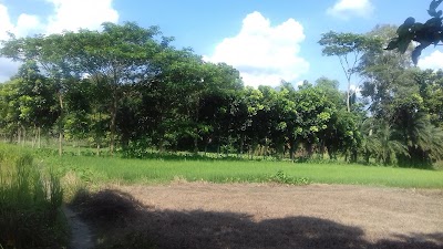 Photos of Sayesta