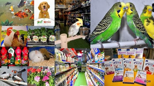 Agrolandia - Thumbnail