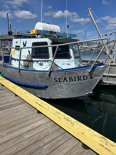 Seabird Ventures - Thumbnail