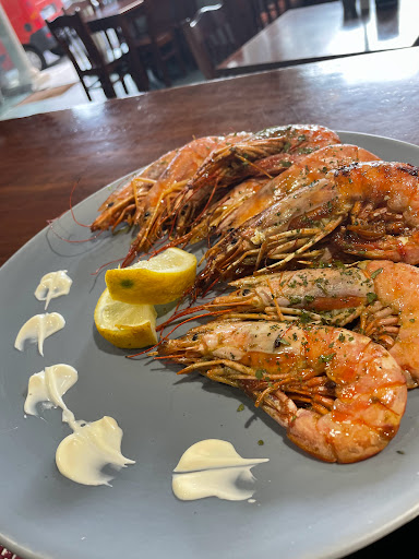 Novas Raíces