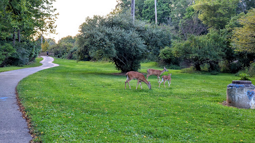 Roscoe Ewing Park - Visual