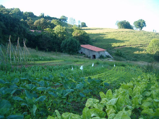 LAS LINDES, ALIMENTOS ECOLÓGICOS Logo