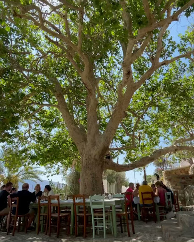 Αξιολογήσεις για το Maria Restaurant Platanos Skalia στην Κάλυμνος - Εστιατόριο