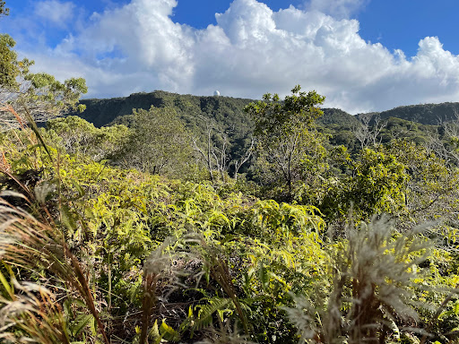 Kalalau Lookout - Thumbnail