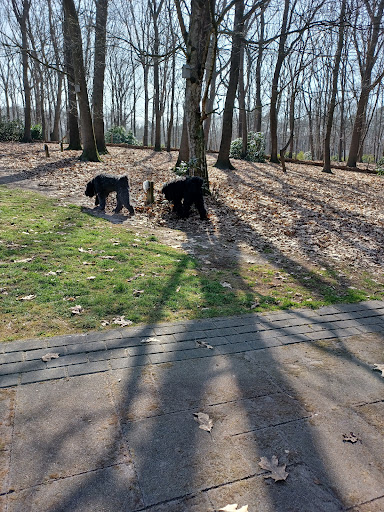 Lükkensveld - Visual