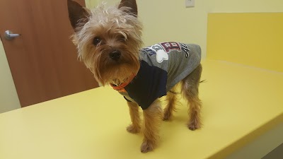 Photos of Valley View Animal Hospital