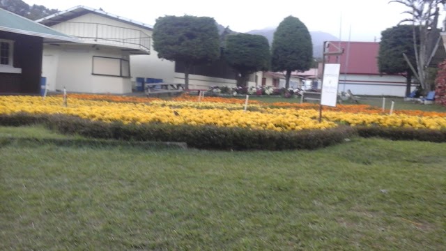 Boquete
