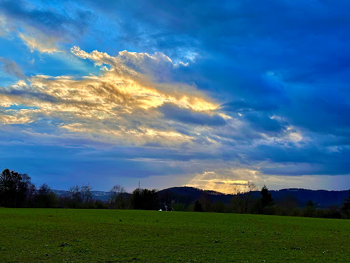 Ev. Friedhof Boele - Thumbnail
