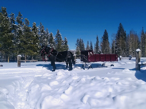 Rocky Mountain Stables Horseback Riding and Sleigh Rides