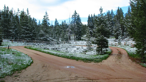 North Tongue Campground - Thumbnail