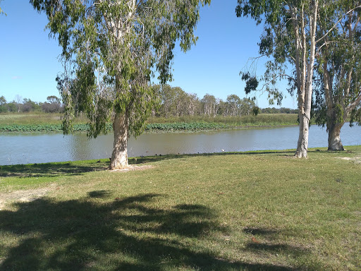 Rockhampton parkrun - Visual