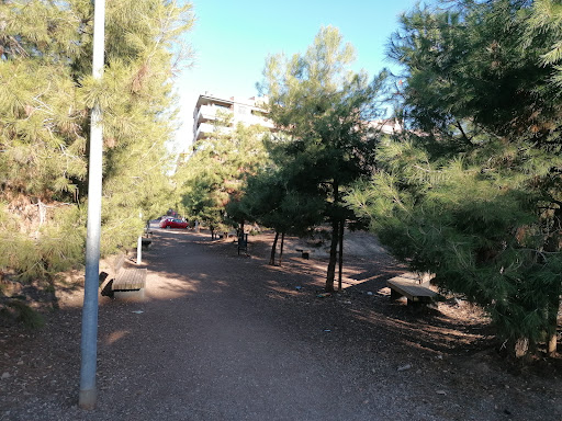 Bosc urbà - Visual