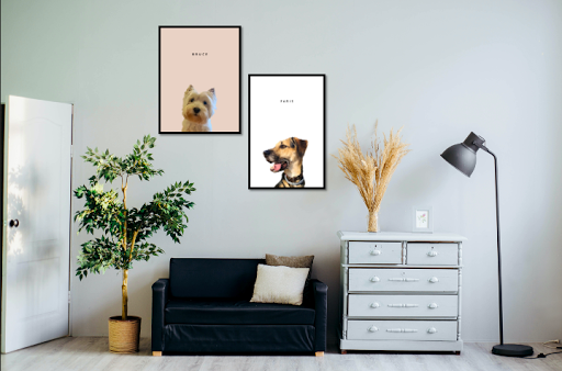 Ten Pets - Visual