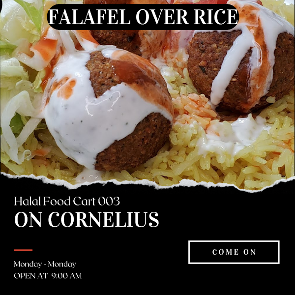 Halal Food Cart — photo