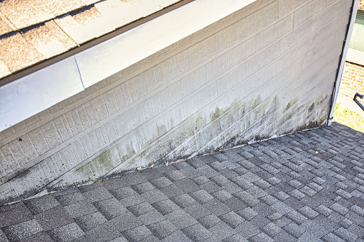 Recommended Roofing - Visual