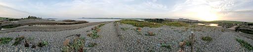 Cemlyn Nature Reserve Car Park - Thumbnail