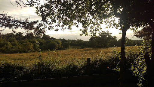 Axeland Park - Thumbnail