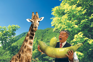 Photo n°22 de Naruto Chef Japonais à Aix-en-Provence (Restaurant japonais)