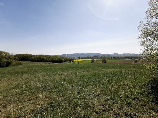 Ehrendenkmal Harderberg - Thumbnail
