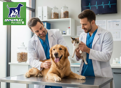 Regular health checkups are the best gift you can give your pet. At Adorables Pet Clinic in Banja… post image