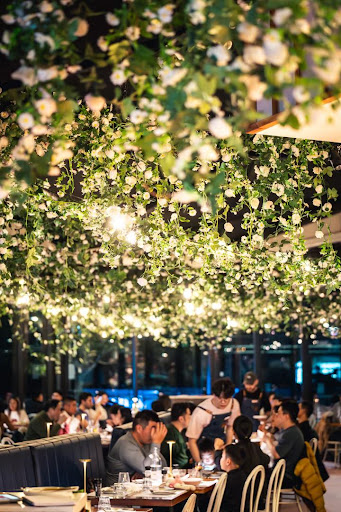 Photo of Bare Witness