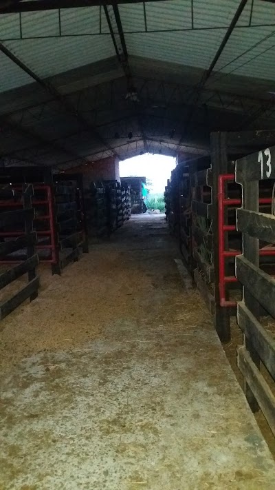 Photos of Manga de Coleo - San Mart&iacute;n