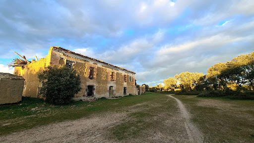 Boecillo - Visual