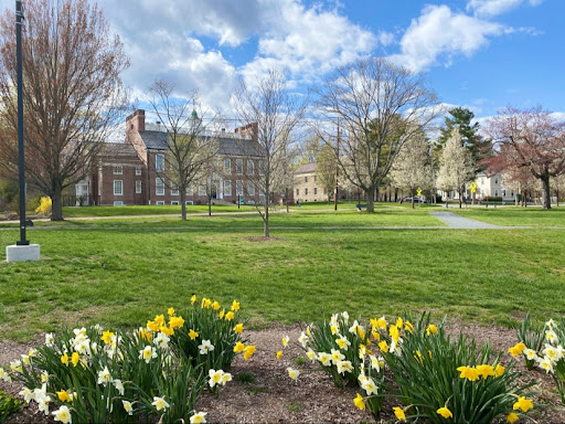 Village Green at Framingham Center - Thumbnail
