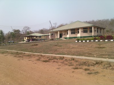 university