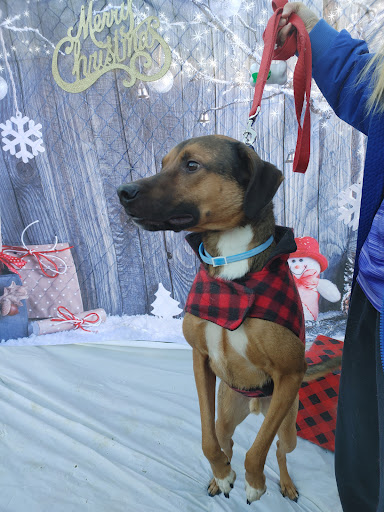 West Mifflin Dog Park - Thumbnail