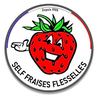 Self Fraise Flesselles à Flesselles