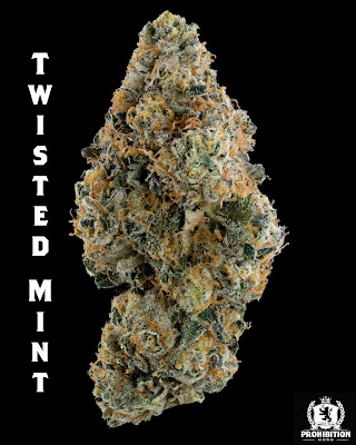 Photo of Alternative Medicine on Capitol Hill (AMCH) Dispensary
