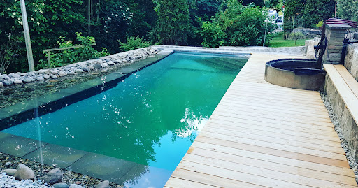 Dienstleistungen-Polifka