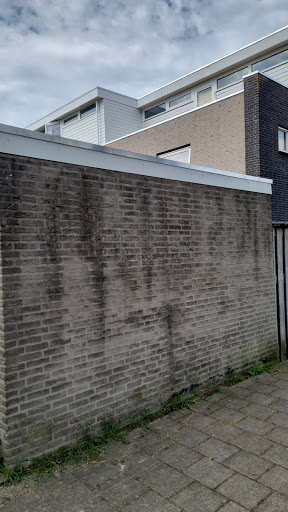 Bronsdak Gallery - Netherlands