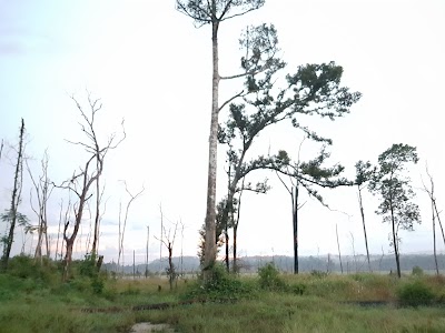 Photos of Makara Camp